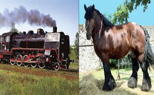 koń vs pociąg